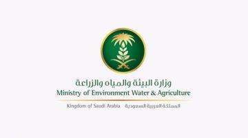 #بيئة_القصيم تطلق الخطة التشغيلية بموسم الأضاحي