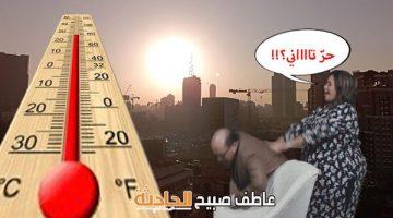 توهُّج طقس وقفة عرفات.. الأرصاد: ارتفاع درجات الحرارة في القاهرة والمحافظات اليوم 5 يونيو وتقلبات جوية مفاجئة