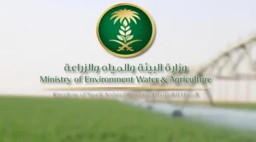 #المملكة تحتفل باليوم العالمي للبيئة وتدعو إلى حشد الجهود الدولية للحد من التلوث البلاستيكي