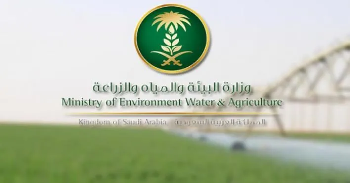 #المملكة تحتفل باليوم العالمي للبيئة وتدعو إلى حشد الجهود الدولية للحد من التلوث البلاستيكي