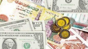 تعرف على أسعار العملات فى ثانى أيام عيد الأضحى.. الدولار بـ49.59 جنيه للشراء