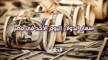 سعر الدولار في ثالث أيام العيد 8-6-2025.. الأخضر بقى بكام؟