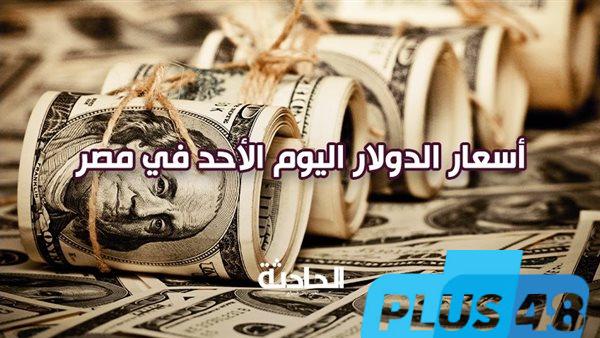 سعر الدولار في ثالث أيام العيد 8-6-2025.. الأخضر بقى بكام؟