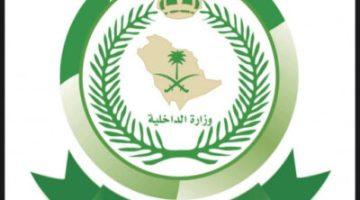 إحباط تهريب 21 كجم من نبات القات المخدر #عاجل