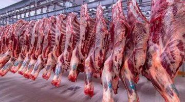 أسعار اللحوم البلدي والمجمدة في مصر الإثنين 16-6-2025.. الأسواق تعيد التوازن