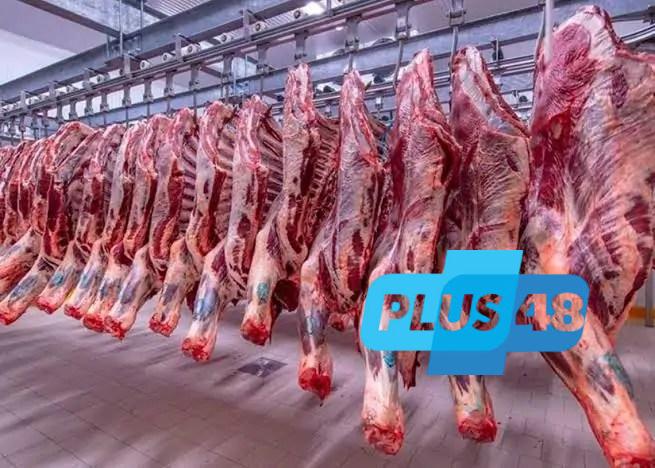أسعار اللحوم البلدي والمجمدة في مصر الإثنين 16-6-2025.. الأسواق تعيد التوازن