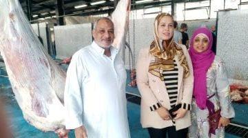 5 فوائد لذبح أضاحى العيد فى المجازر.. وهذه أبرز النصائح للمستهلكين