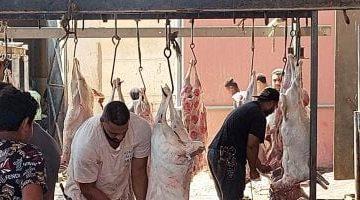 غرامة ذبح الأضاحى بالشوارع 10 آلاف جنيه.. ومحافظ القاهرة: خدمات المجازر مجانا