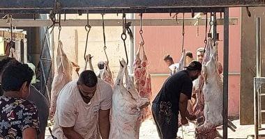 غرامة ذبح الأضاحى بالشوارع 10 آلاف جنيه.. ومحافظ القاهرة: خدمات المجازر مجانا
