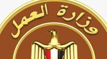 وزارة العمل تعلن عن فرص عمل بمرتبات تصل إلى 15 ألف جنيه.. تفاصيل