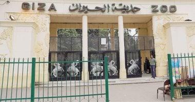 تعرف على موعد افتتاح حديقة حيوان الجيزة بعد انتهاء أعمال التطوير