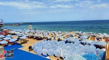 إزاى ماحدش يستغلك ويفرض عليك إكراميات على شواطئ الإسكندرية
