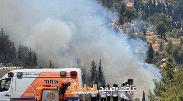 فيديو.. 8 طائرات و35 فرقة إطفاء تكافح حريق غابات عين كارم بالقدس المحتلة