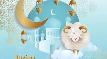 سنة النبي في عيد الأضحى.. هدي كامل من الذبح إلى الزينة