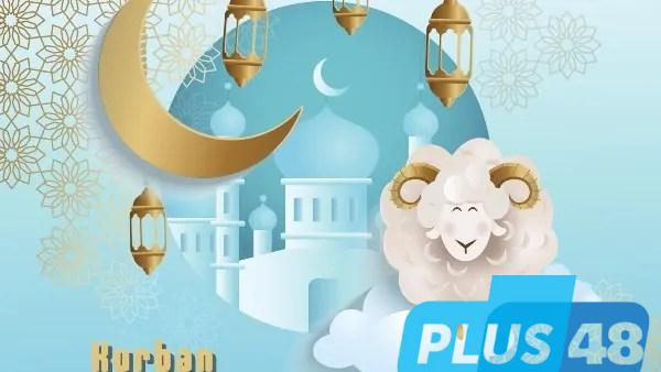 سنة النبي في عيد الأضحى.. هدي كامل من الذبح إلى الزينة
