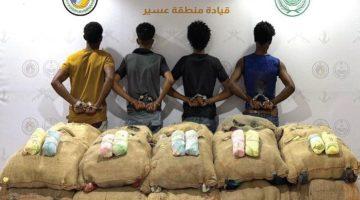 القبض على (4) مخالفين لأمن الحدود من الجنسية الإثيوبية لتهريبهم (267) كجم من القات #عاجل