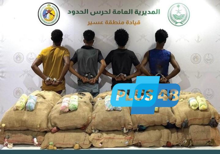 القبض على (4) مخالفين لأمن الحدود من الجنسية الإثيوبية لتهريبهم (267) كجم من القات #عاجل