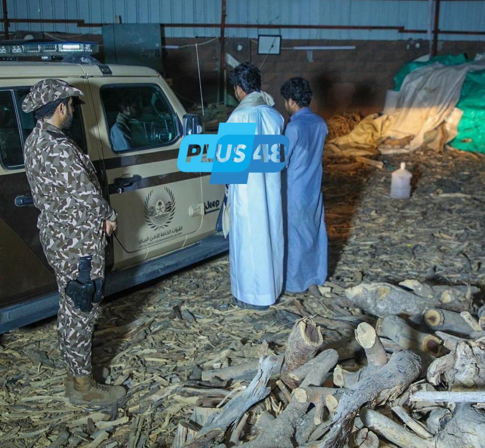 “الأمن البيئي” يضبط مقيميْن مخالفيْن من الجنسية اليمنية لتخزينهما حطبًا وفحمًا محليين #عاجل