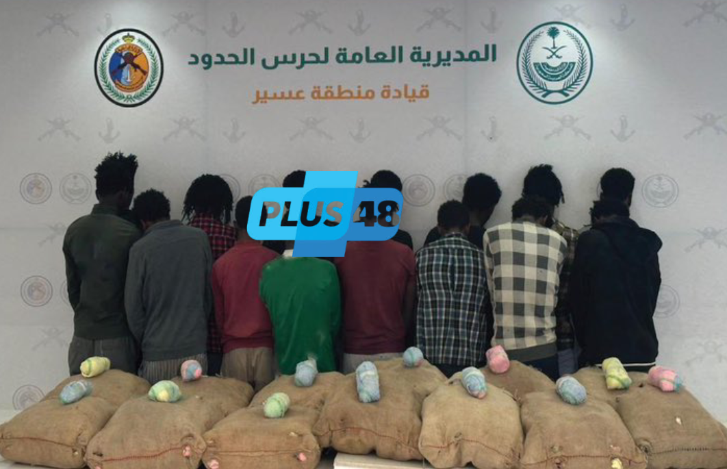 #عاجل | القبض على (14) مخالفًا لتهريبهم (260) كيلوجرامًا من نبات القات المخدر بمنطقة #عسير