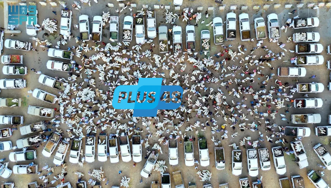 “مسالخ جازان” تستقبل أكثر من 23.300 أضحية خلال أيام #عيد_الأضحى