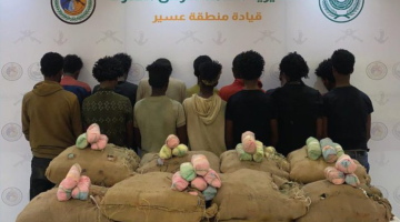 #عاجل | القبض على (14) مخالفًا لتهريبهم (252) كيلوجرامًا من نبات القات المخدر بمنطقة #عسير
