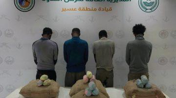 #عاجل | #حرس_الحدود يقبض على (7) مخالفين ويحبط تهريب (192) كجم من القات المخدر