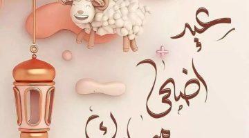 موعد صلاة العيد في ليبيا 2025.. الأوقاف تصدر تعليمات تنظيمية وتدعو للالتزام بالإجراءات