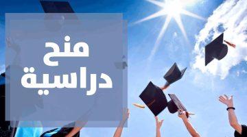تفاصيل منح جامعة فلورنسا لدراسة البكالوريوس والماجستير والدكتوراه في إيطاليا 2025.. كل ما تريد معرفته