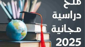 منحة جامعة قطر 2025 للبكالوريوس.. فرصة ممولة بالكامل للطلاب الدوليين (المزايا والشروط)