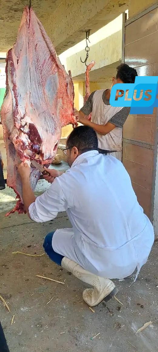 محافظ الجيزة: ذبـ ـح 2202 أضحية بمجازر المحافظة خلال 48 ساعة وتوقيع غرامات رادعة للمخالفين