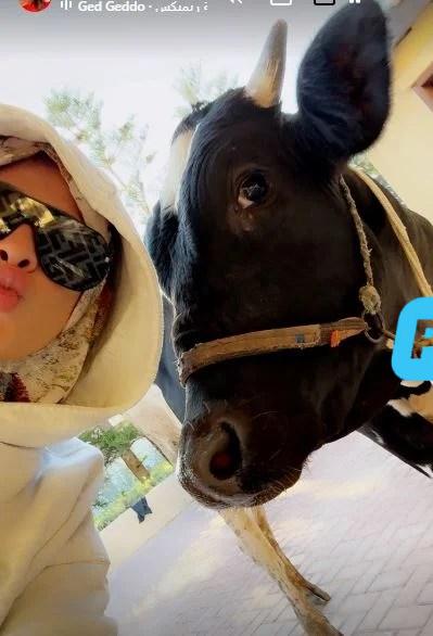 ياسمين عبد العزيز تتصدر التريند بصورة مع الأضحية أثارت ردود فعل واسعة