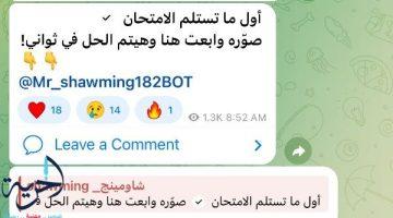 شاومينج يحرض طلاب الشهادة الإعدادية على تسريب الأسئلة عبر تليجرام