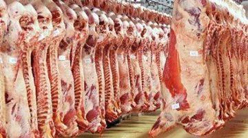 الزراعة: المجازر الحكومية تستقبل أكثر من 9800 أضحية خلال أول أيام العيد