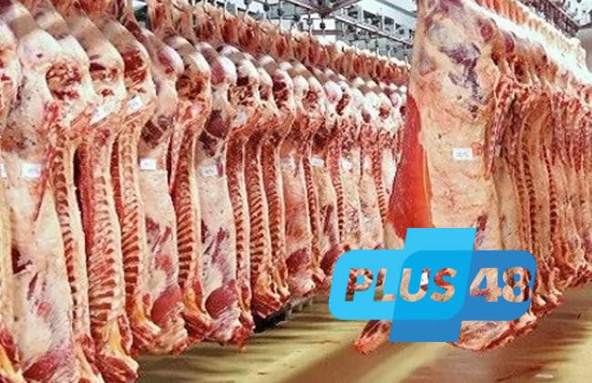 الزراعة: المجازر الحكومية تستقبل أكثر من 9800 أضحية خلال أول أيام العيد