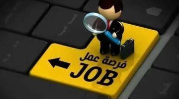 فتح باب التقديم لوظائف معلمين مساعدين في الرياضيات والإنجليزية 2025.. الشروط والتفاصيل الكاملة