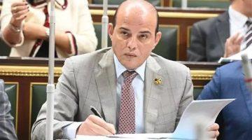 «برلماني» يطالب بتشديد الرقابة على الأسواق وضبط الأسعار مع حلول عيد الأضحى