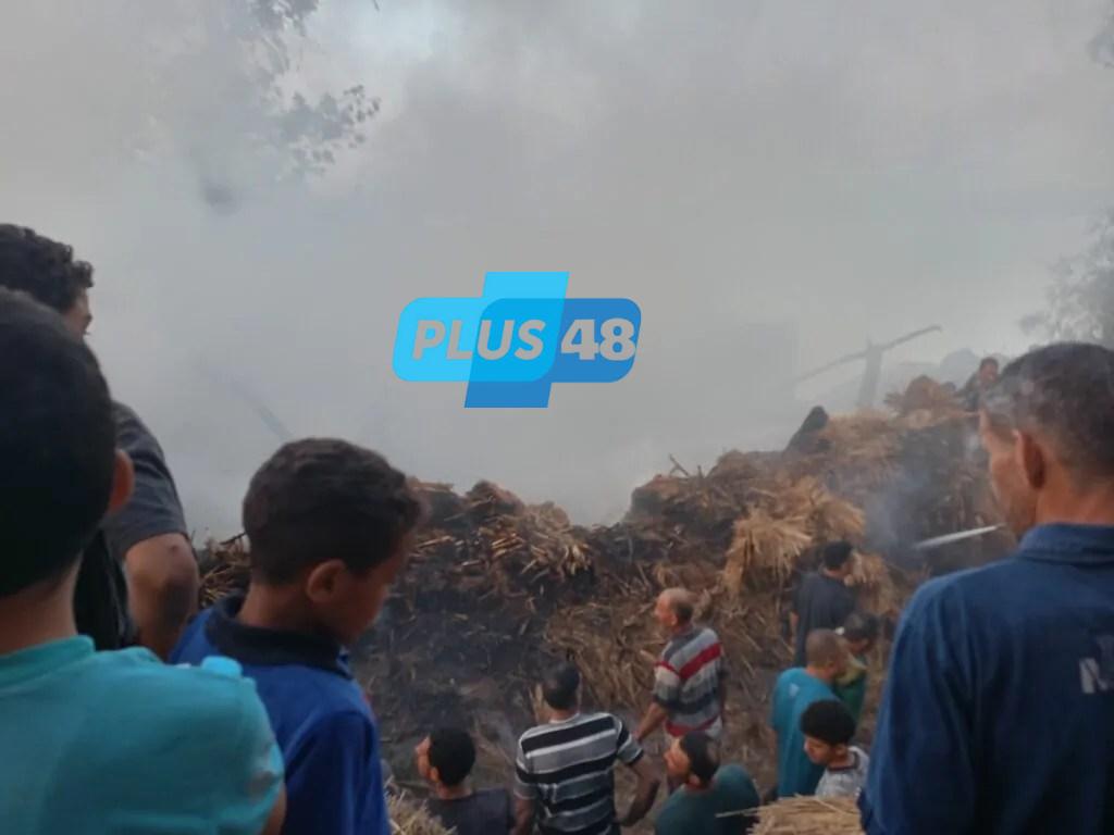 حريق هائل يلتهم حظيرة مواشي بدمياط.. والحماية المدنية تسابق الزمن