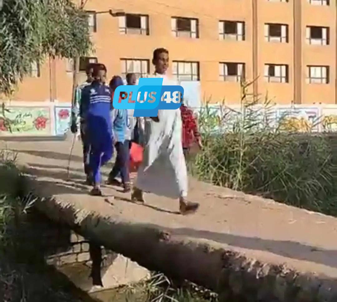أبرياء على جسور هشة.. كباري متهالكة وجذوع نخيل على المصارف والترع تحصد الأرواح في المنيا