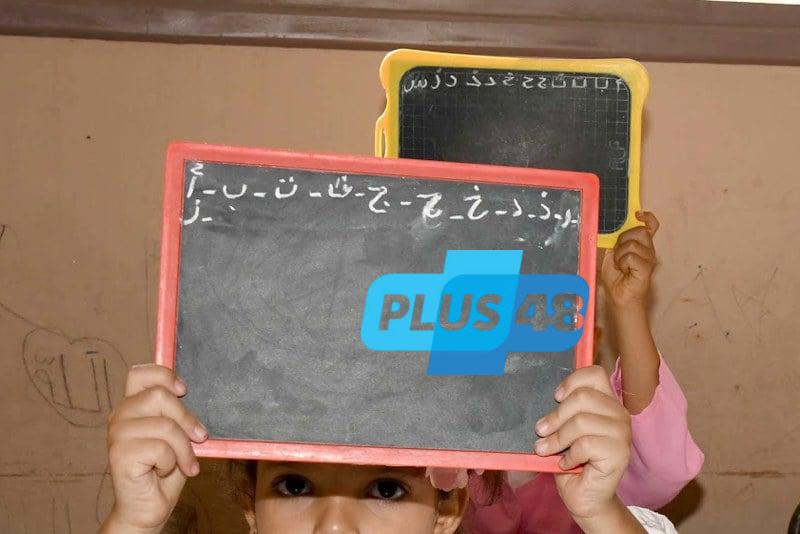 غرامشي و”حمار العائلة” .. تزوير الشواهد يقتل الأمل في مجتمع عادل