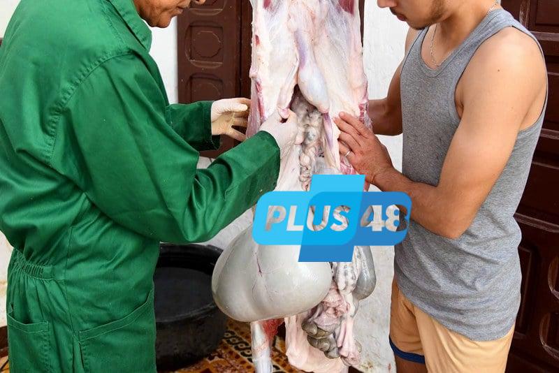 عائلات مغربية تراهن على “الوزيعة” لإبقاء الطقوس الخاصة بعيد الأضحى