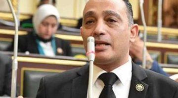 البياضي يطالب بمساءلة رئيس الوزراء بسبب تأخر اللائحة التنفيذية لقانون رعاية المسنين
