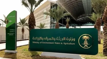5306 ذبائح بمسالخ “بيئة الجوف” خلال موسم عيد الأضحى لهذا العام